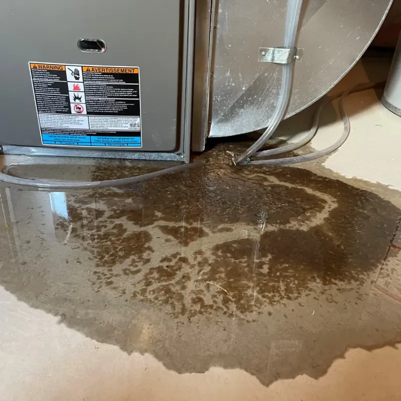 Appliance Leak Cleanup in Chittenden County, VT